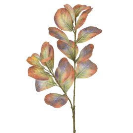 HASTE FICUS CONCINNA 3D 51908-005