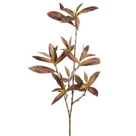 HASTE FOLHAS SKIMMIA 3D 53468-244