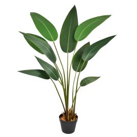 PLANTA FOLHA STRELITZIA X10 REAL 53496-004