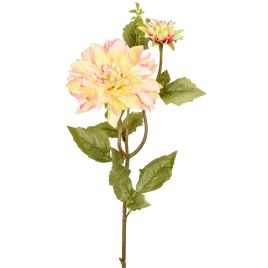 HASTE DALIA DO CAMPO X3 54565-043