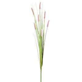 HASTE CATTAIL X7 55333-018