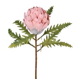 HASTE PROTEA C/ FOLHAS 55377-015
