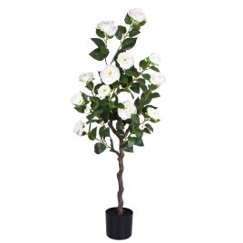 PLANTA CAMELIA LX 55425-008