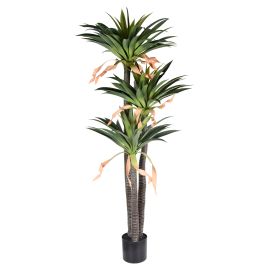 PLANTA SISAL X3 55480-004