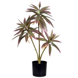 PLANTA DRACENA X3 NO POTE REAL TOQUE 56295-262
