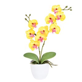 ARRANJO ORQUIDEA X2 56302-005