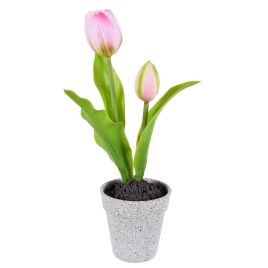 ARRANJO TULIPA X2 56304-018