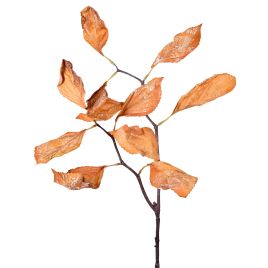 HASTE FOLHAS DE HORTENSIA X2 57653-015