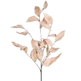 HASTE FOLHAS DE PROTEA X6 57654-502