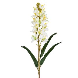 HASTE ORQUIDEA DO CAMPO 57658-010