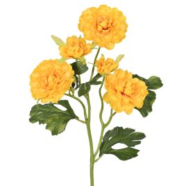 HASTE CAMELIA X5 57721-005