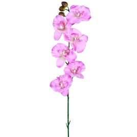 HASTE ORQUIDEA PHALAENOPSIS X6 57855-031
