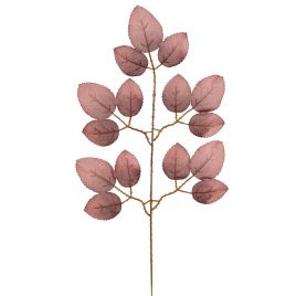 FL FOLHA ROSEIRA X15 C12 57860-102