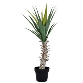 PLANTA DRACENA X15 NO POTE 57885-004