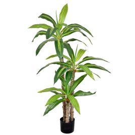PLANTA DRACENA X3 NO POTE 57908-004