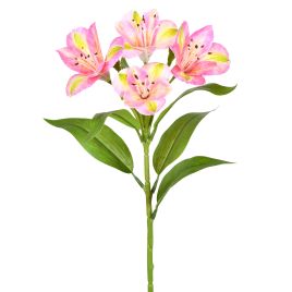HASTE AMARILIS SPRAY X4 58024-018