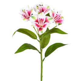 HASTE AMARILIS SPRAY X4 58024-047