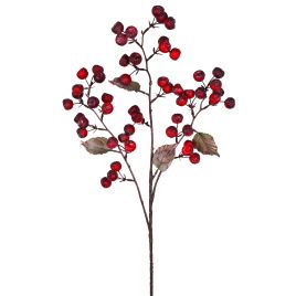 HASTE BERRIES X3 58027-009