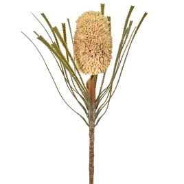 HASTE PROTEA 58040-040