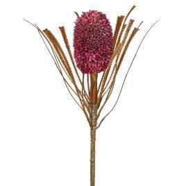 HASTE PROTEA 58040-488