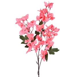 HASTE BOUGAINVILLE X3 58063-018